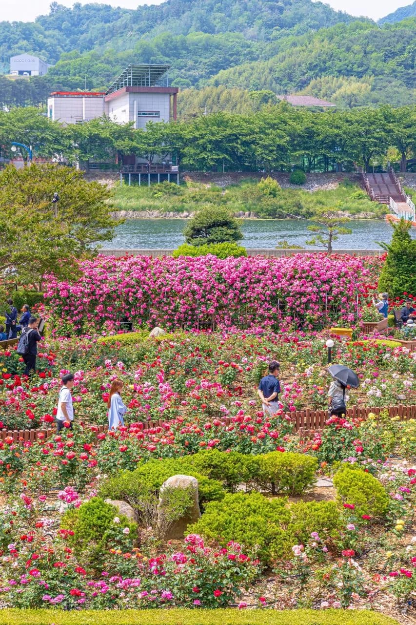 삼척해변~새천년해안도로 코스
