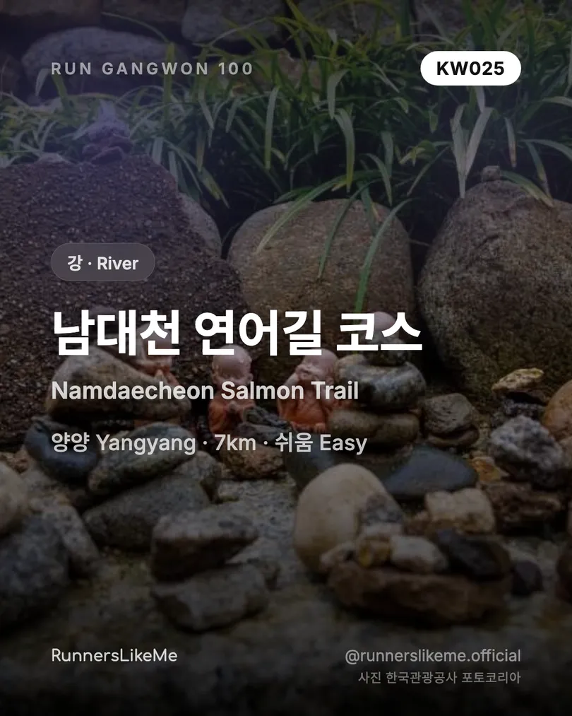 남대천 연어길 코스 — RUN GANGWON 100 도감 카드 1/4