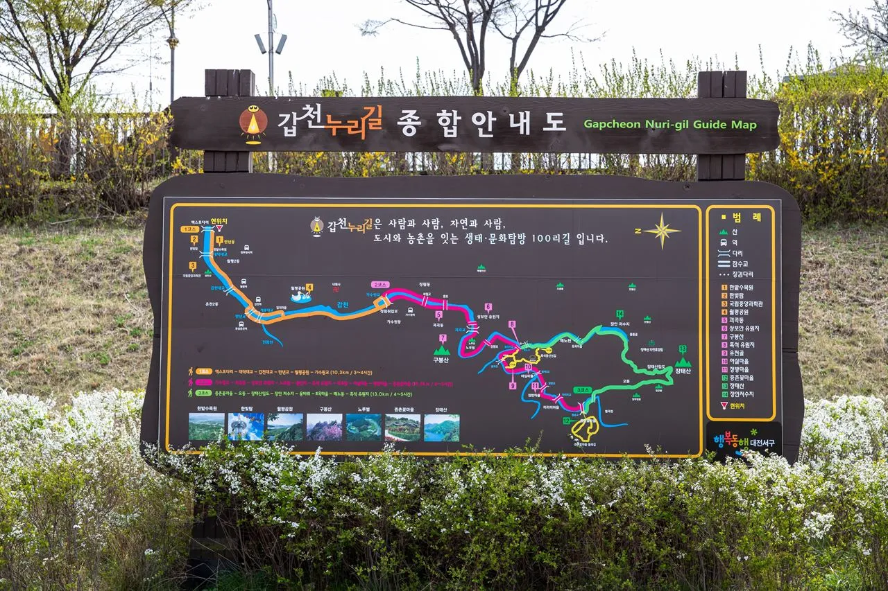 월평공원 갑천 습지길