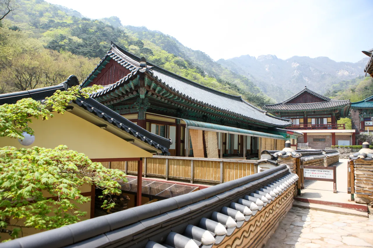 계룡산 동학사 벚꽃길