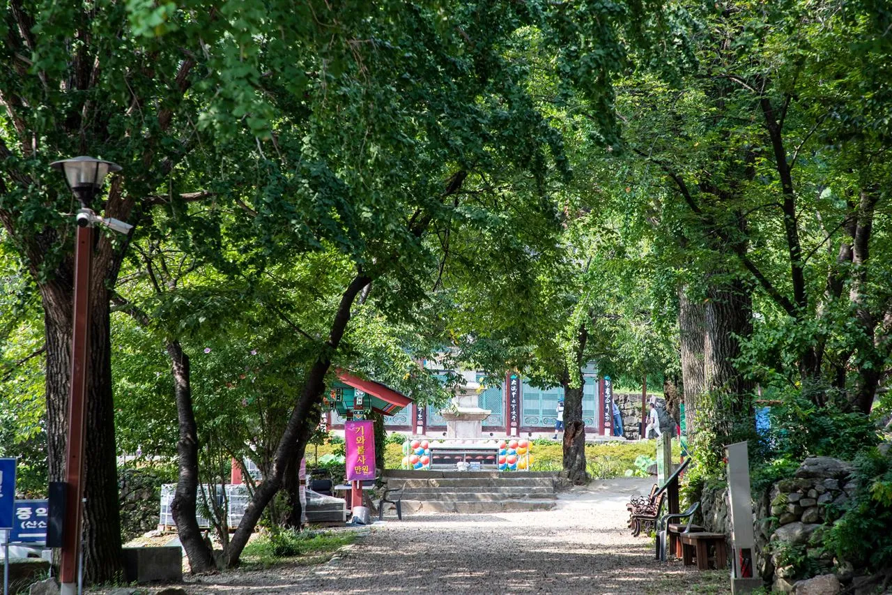 향적산 국사봉 능선길