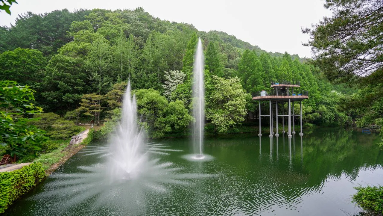 미동산수목원 숲길