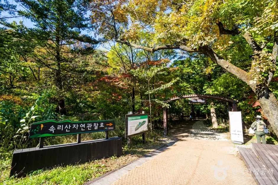속리산 세조길 왕복