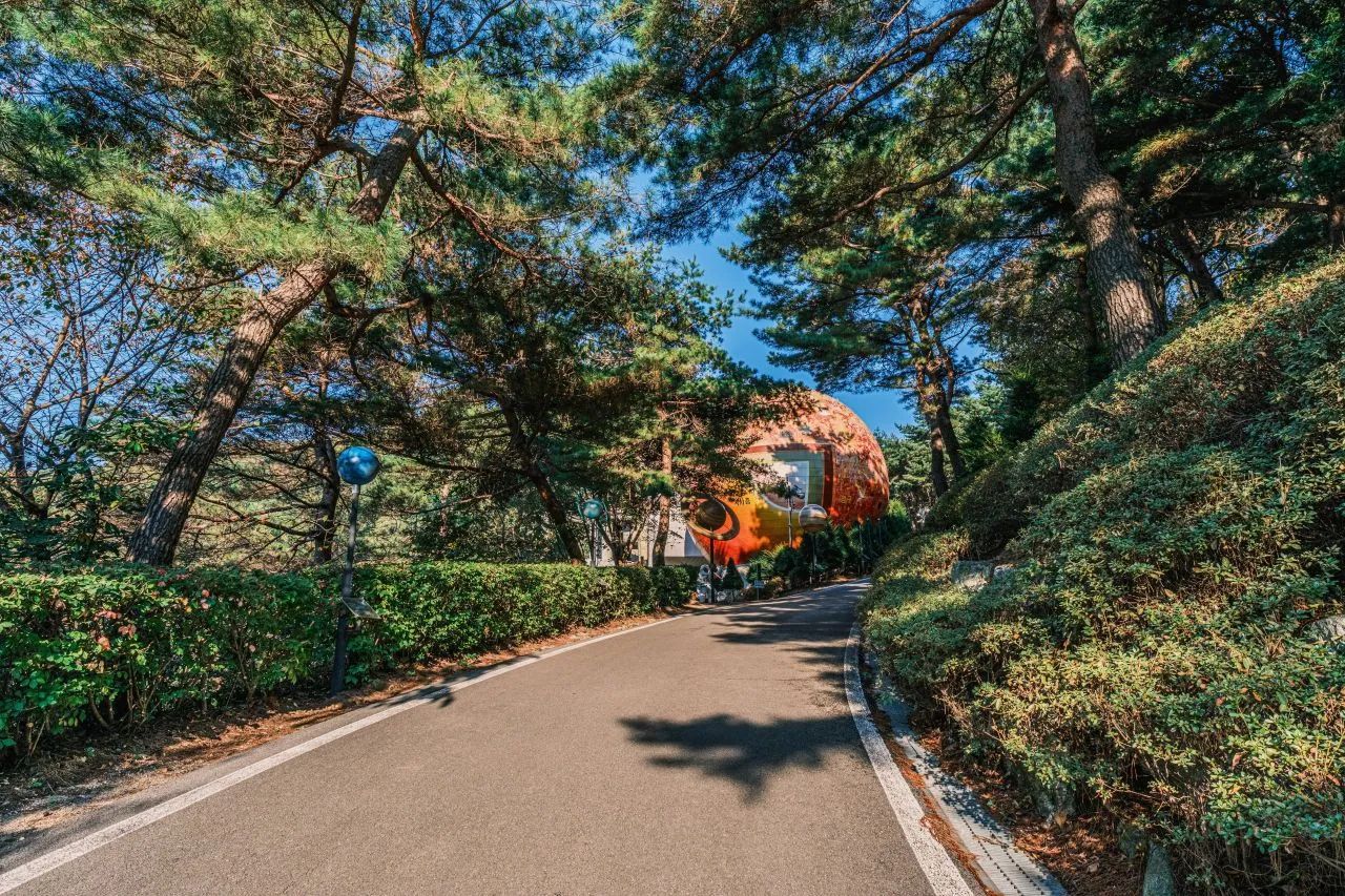 좌구산 바람소리길 구름다리