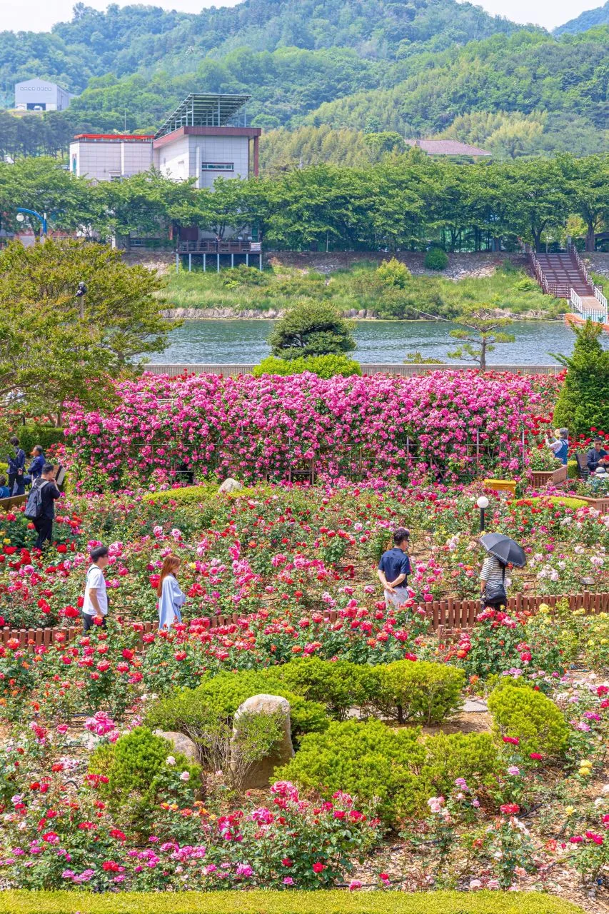 삼척해변~새천년해안도로 코스
