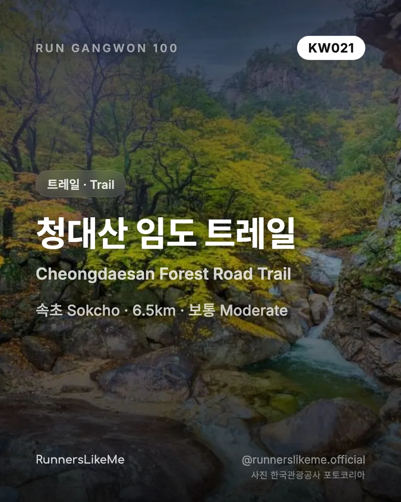 청대산 임도 트레일 — RUN GANGWON 100 도감 카드 1/4