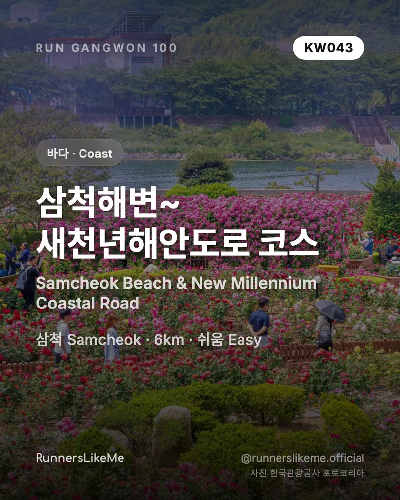 삼척해변~새천년해안도로 코스 — RUN GANGWON 100 도감 카드 1/4