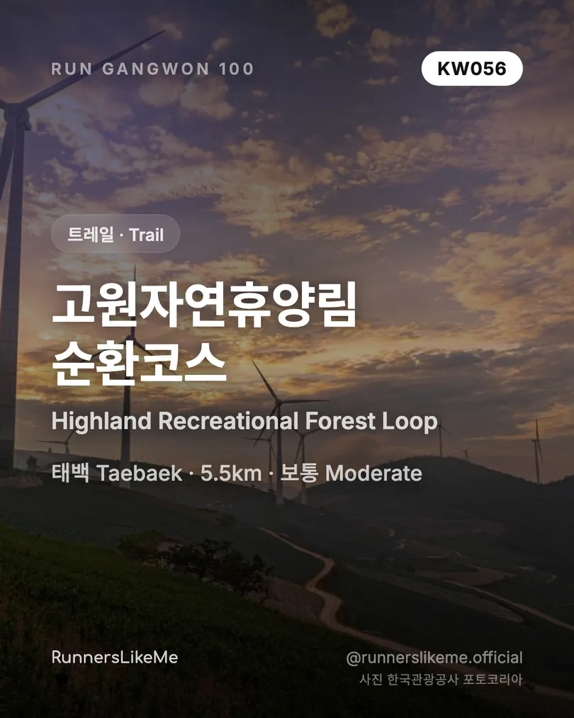 고원자연휴양림 순환코스 — RUN GANGWON 100 도감 카드 1/4