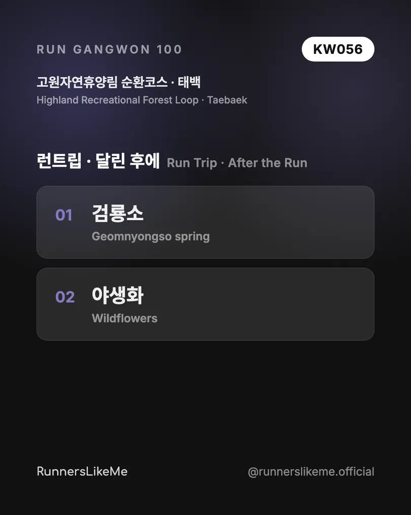 고원자연휴양림 순환코스 — RUN GANGWON 100 도감 카드 4/4
