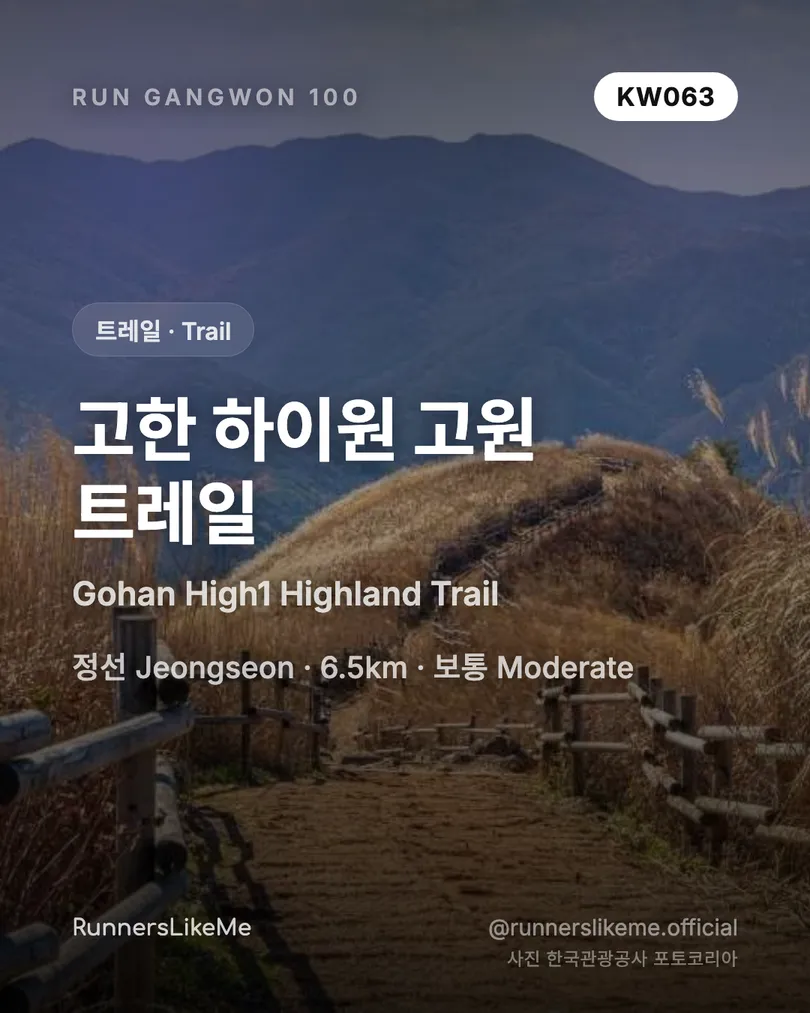 고한 하이원 고원 트레일 — RUN GANGWON 100 도감 카드 1/4