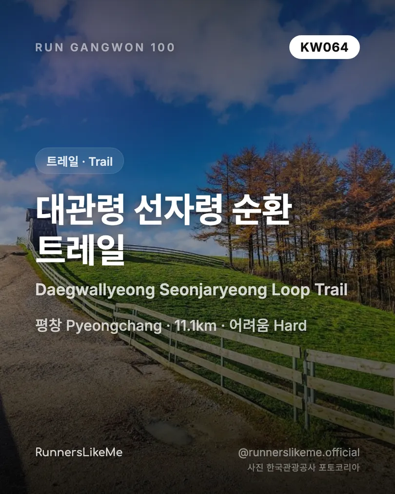 대관령 선자령 순환 트레일 — RUN GANGWON 100 도감 카드 1/4