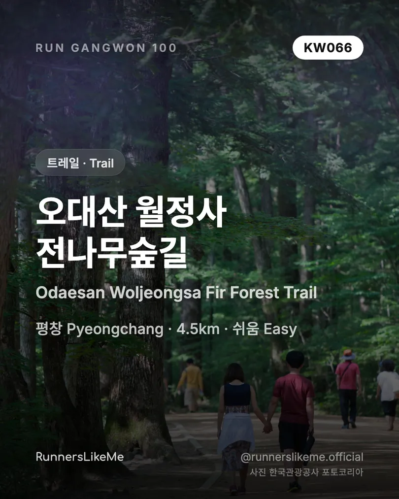 오대산 월정사 전나무숲길 — RUN GANGWON 100 도감 카드 1/4