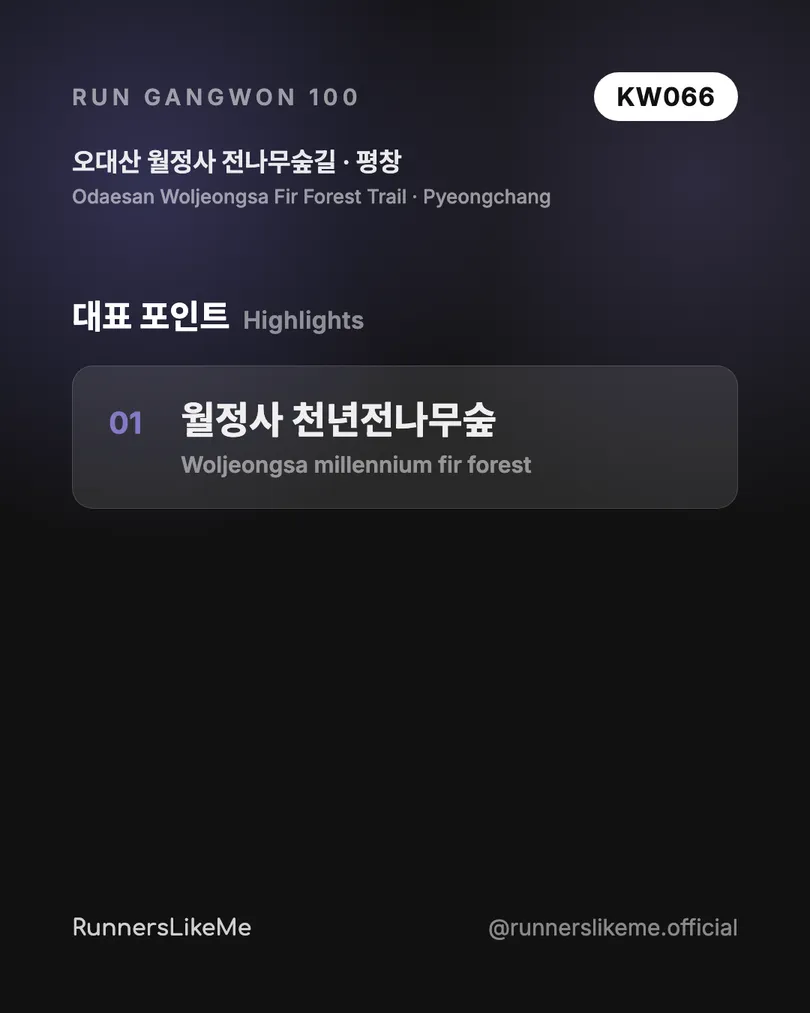 오대산 월정사 전나무숲길 — RUN GANGWON 100 도감 카드 3/4