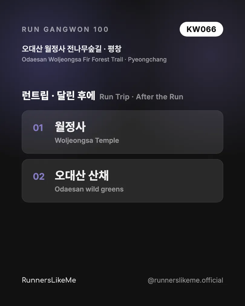 오대산 월정사 전나무숲길 — RUN GANGWON 100 도감 카드 4/4
