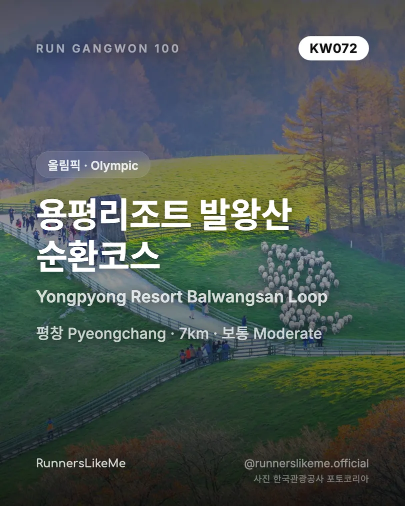용평리조트 발왕산 순환코스 — RUN GANGWON 100 도감 카드 1/4