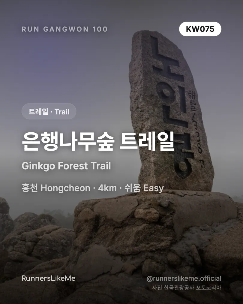 은행나무숲 트레일 — RUN GANGWON 100 도감 카드 1/4