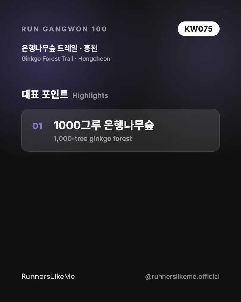은행나무숲 트레일 — RUN GANGWON 100 도감 카드 3/4