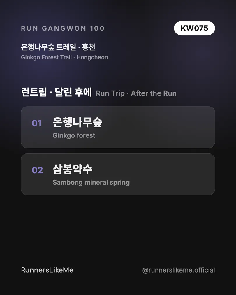 은행나무숲 트레일 — RUN GANGWON 100 도감 카드 4/4