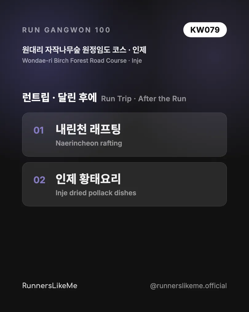 원대리 자작나무숲 원정임도 코스 — RUN GANGWON 100 도감 카드 4/4