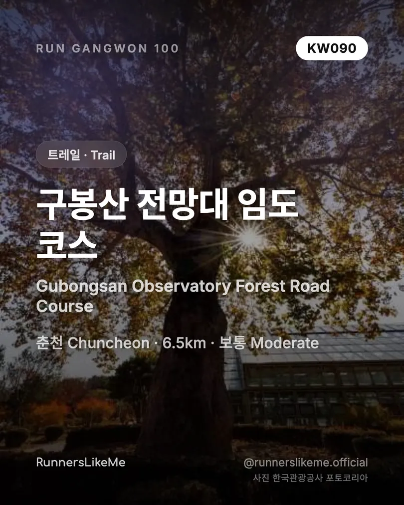 구봉산 전망대 임도 코스 — RUN GANGWON 100 도감 카드 1/4