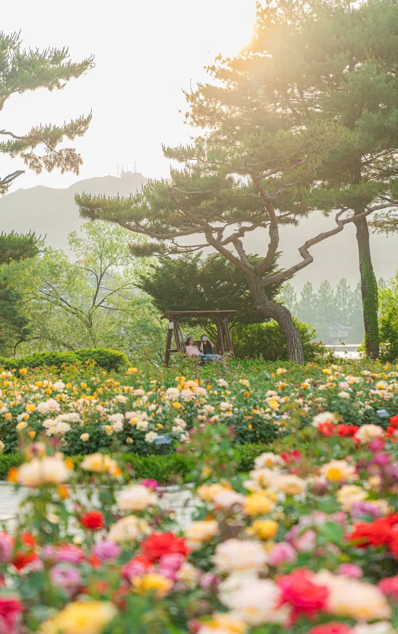 서울대공원 호수 두 바퀴