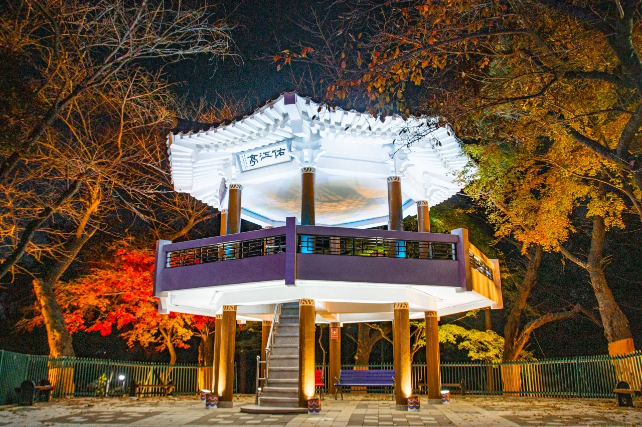 수봉공원 벚꽃길