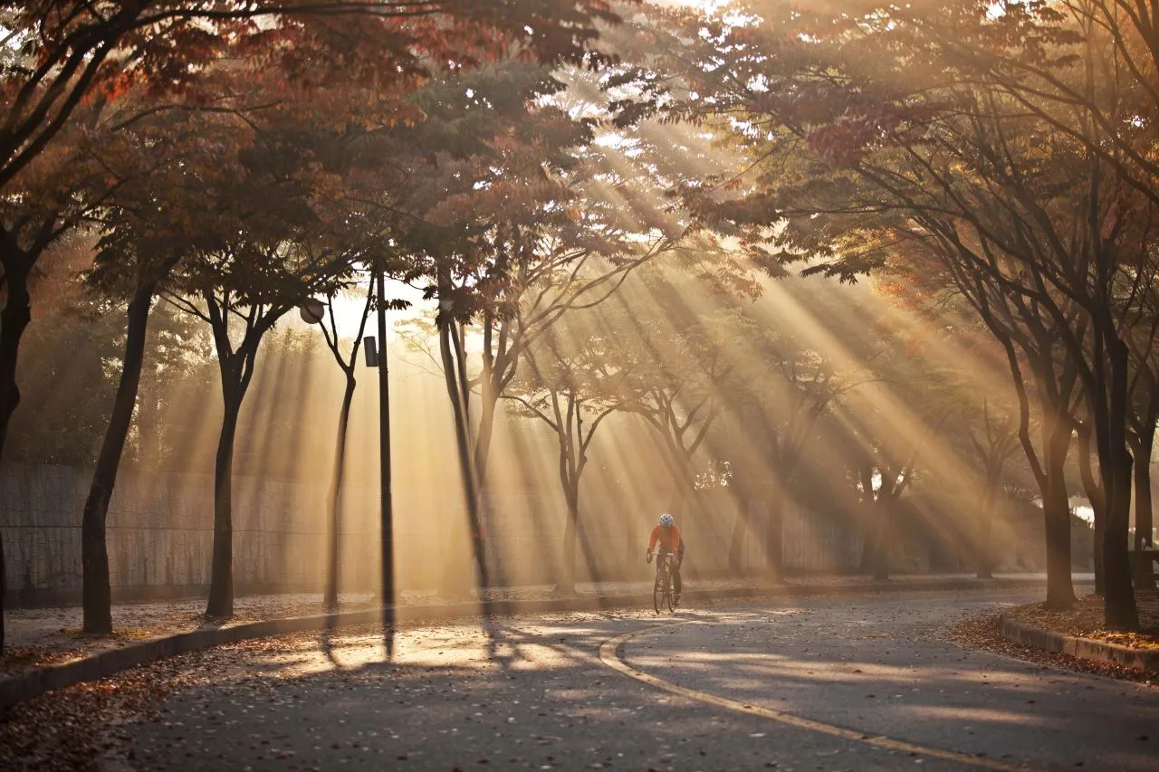 인천대공원 호수 한 바퀴
