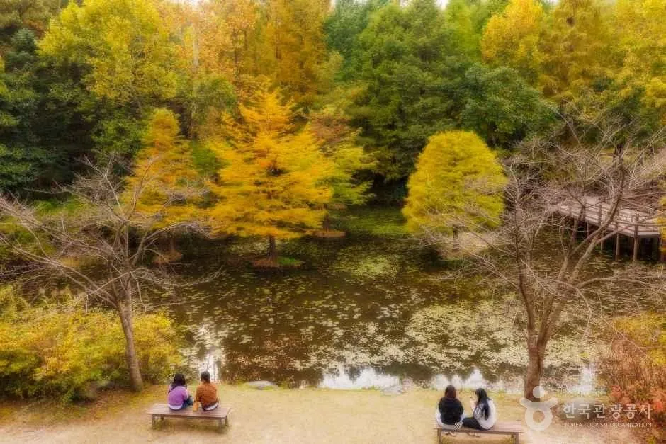 물향기수목원