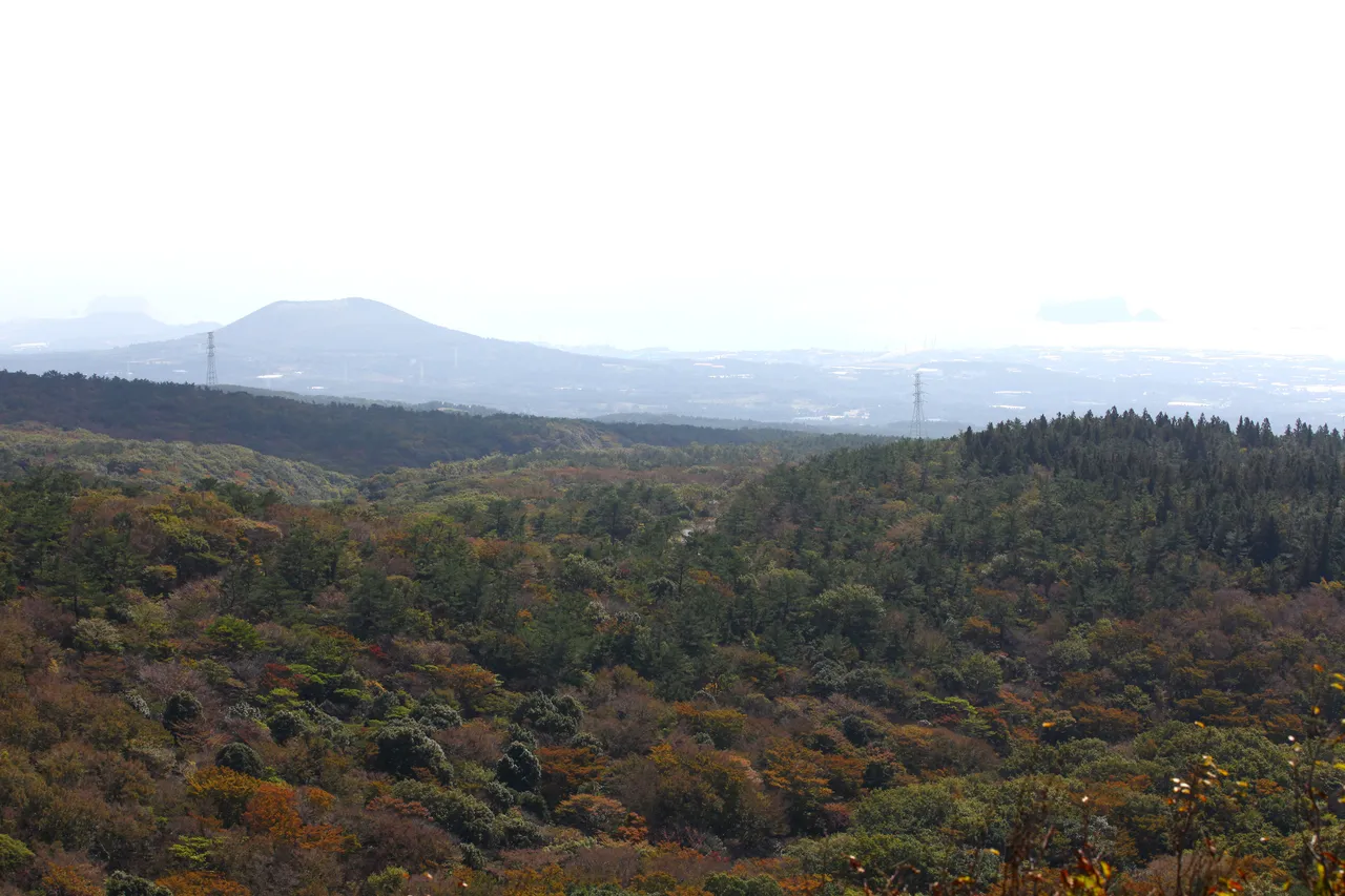 고근산