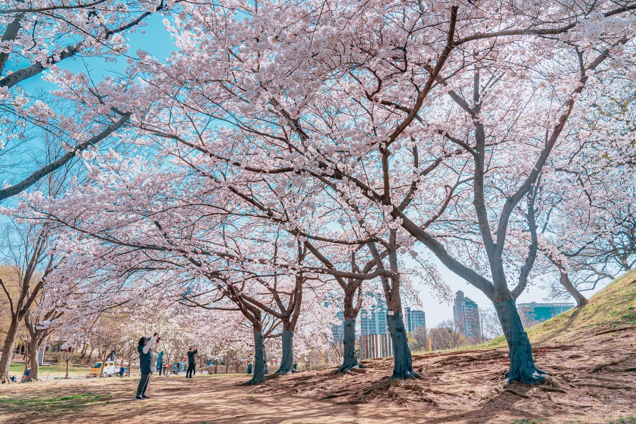 몽촌토성·몽촌호수 코스