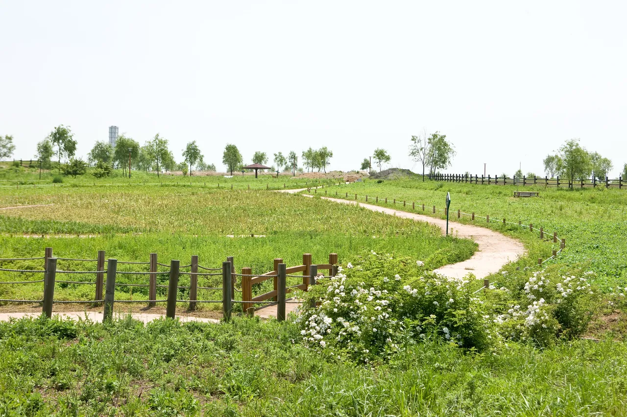 노을공원 순환 코스