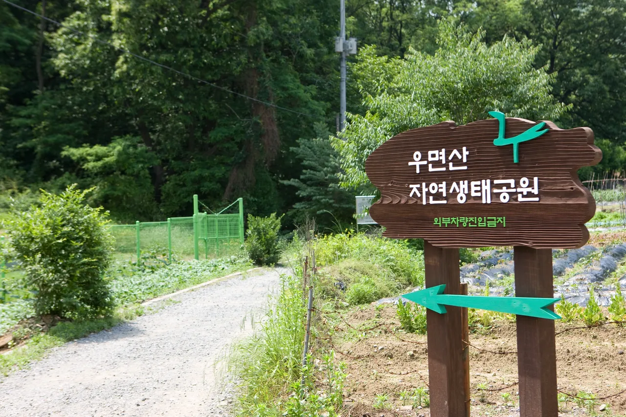 우면산 자락 코스