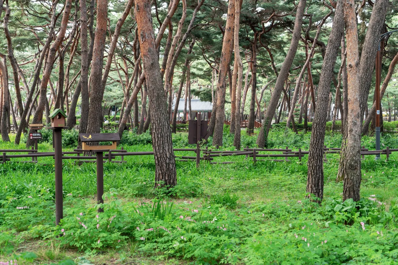 4·19 순례길·솔밭공원 코스